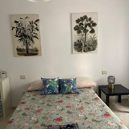 Albareda 라스팔마스