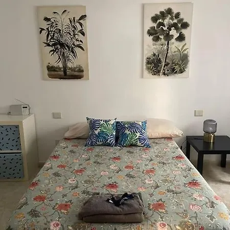 Albareda * 라스팔마스