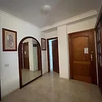 Albareda