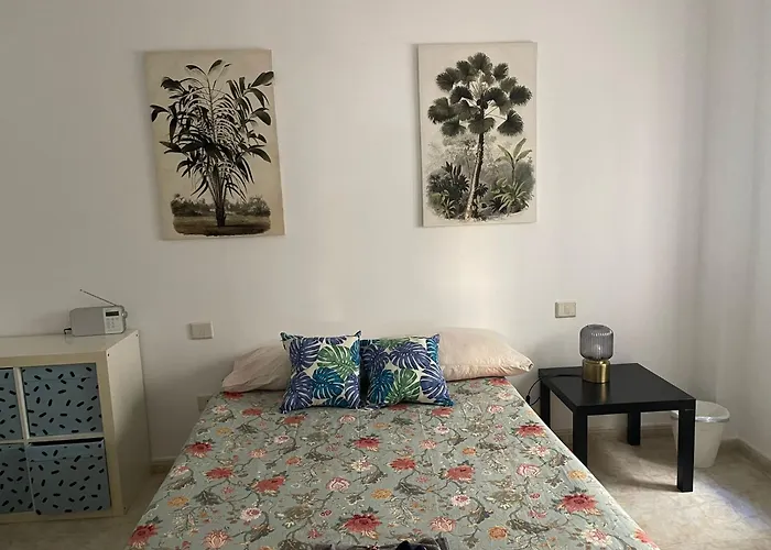 Albareda Las Palmas de Gran Canaria